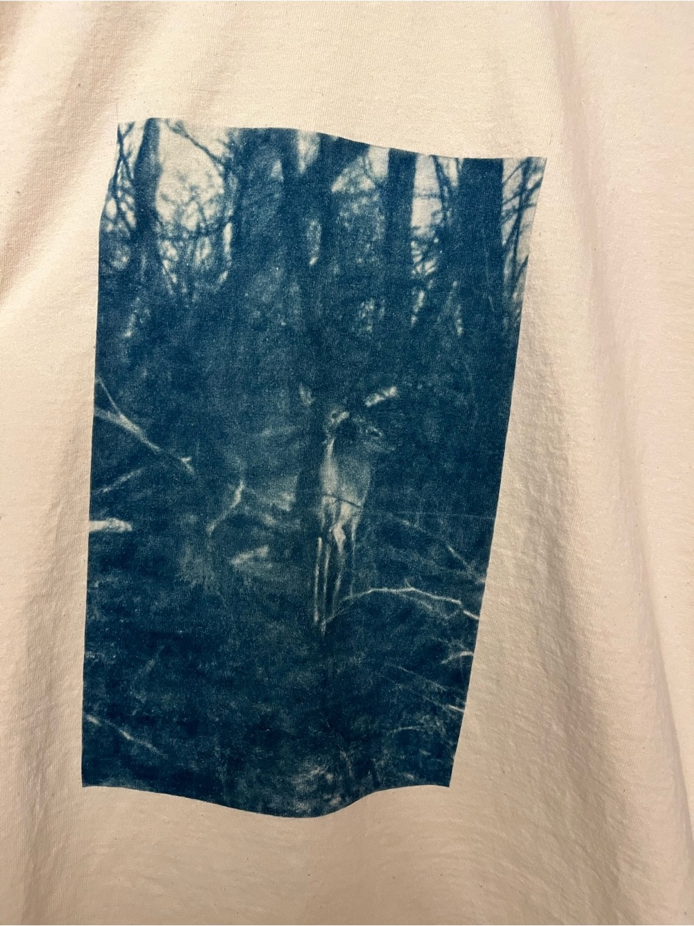 Champion White Short Sleeve Tee with Blue Photographic Print